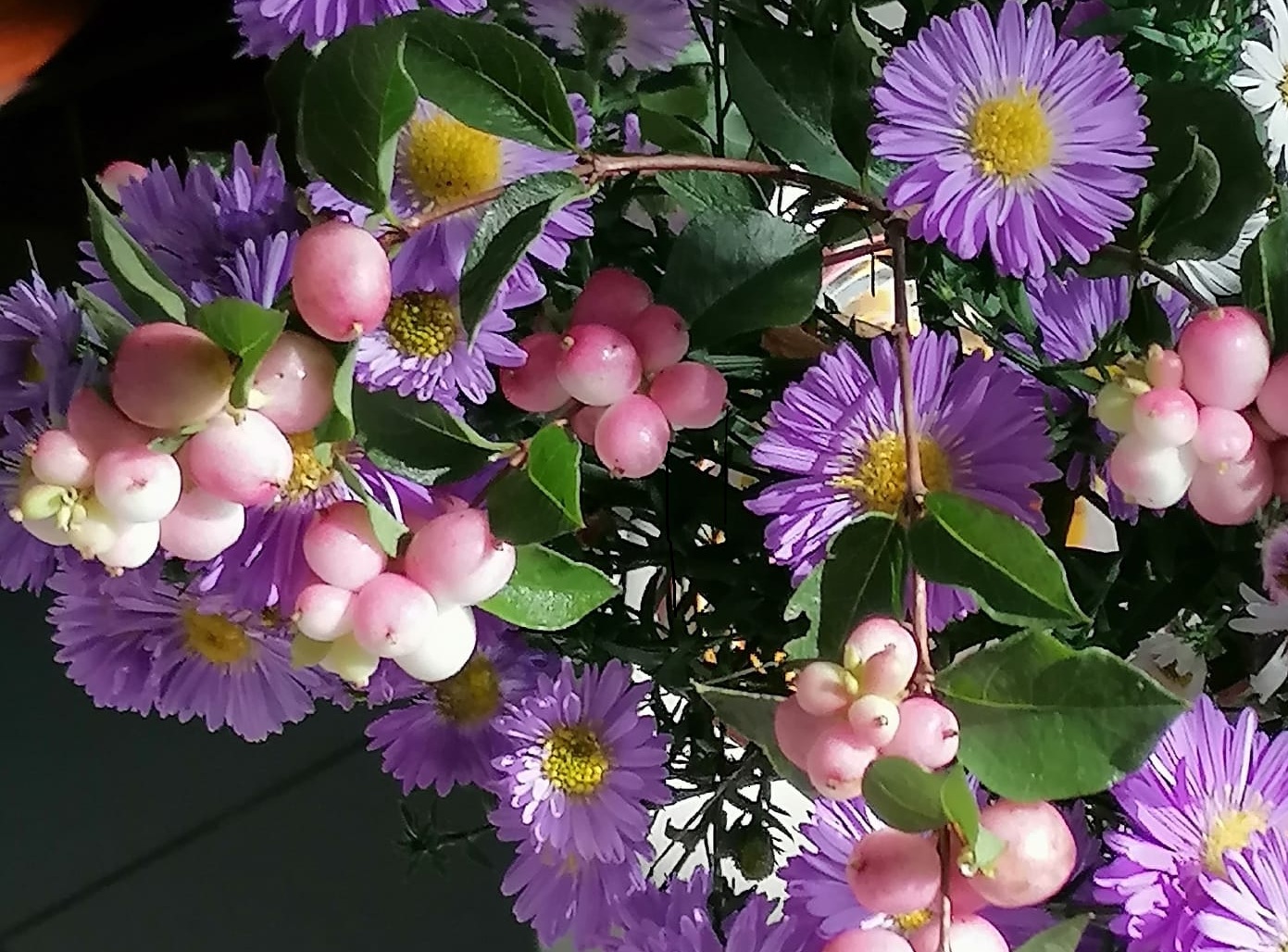 Altweiber Sommer 2
