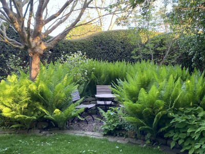 2019 01small