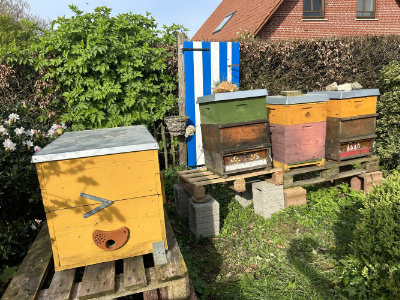 2019 01small