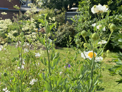 2019 01small