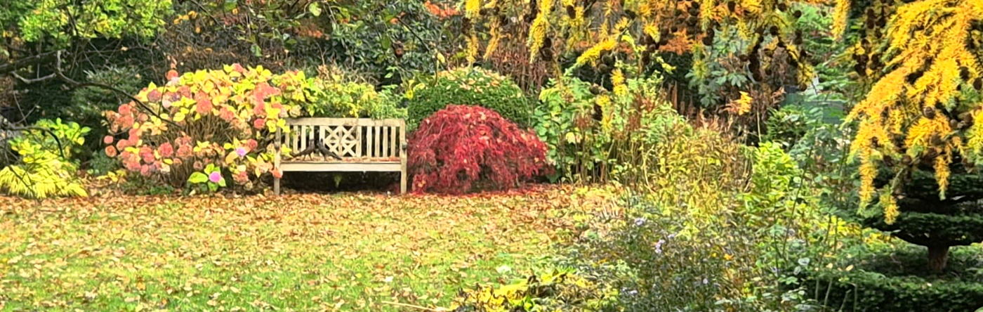 Titelbild Frühling 2025